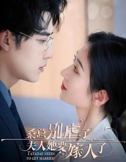 无声证词悬疑电视剧全集免费观看